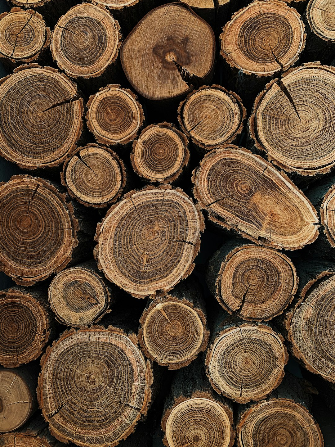 texture/wood/2